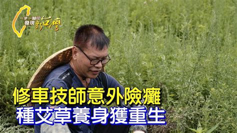 艾草達人莊垣昌|【南投】用心堅持不怕難!修車師脊椎傷後鑽研艾草 重拾健康自。